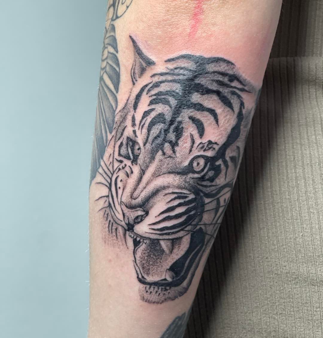 Tiger